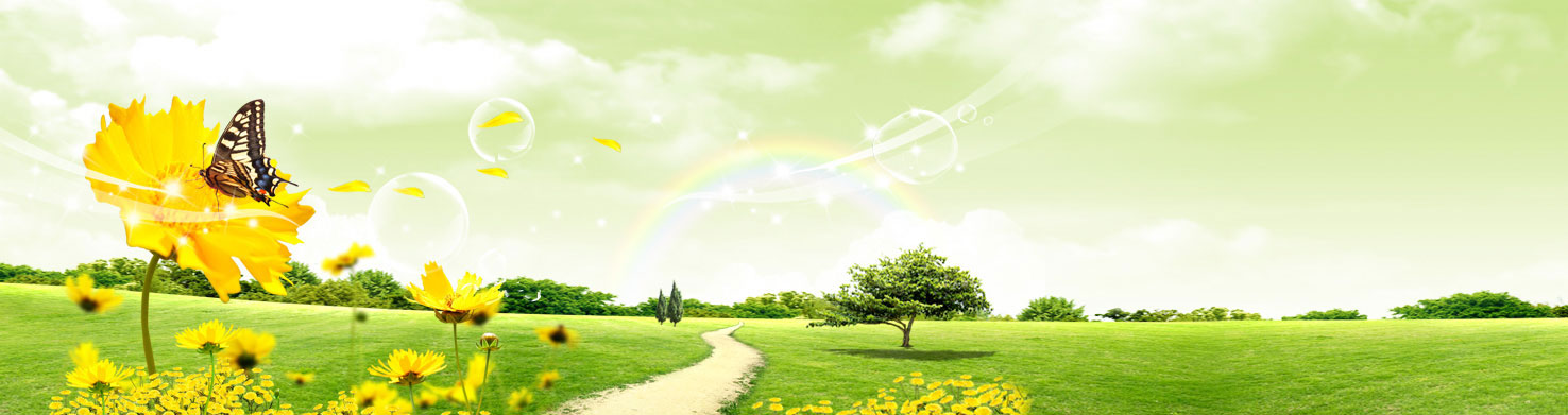 ����²��Ϲ�˾